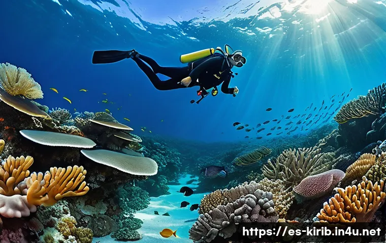키리바시 다이빙 추천 장소 관련 이미지 1
